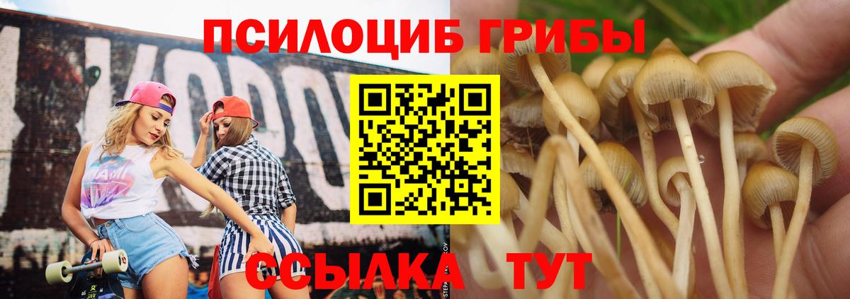 Надым  Галлюциногенные грибы Magic Shrooms  Вход с VPN 